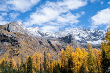 Four Girls Mountain in Aba prefecture Chengdu city Sichuan province, China.Siguniang mountain or Four sister mountain with snow cap on top and colourful autumn in Sichuan, China
