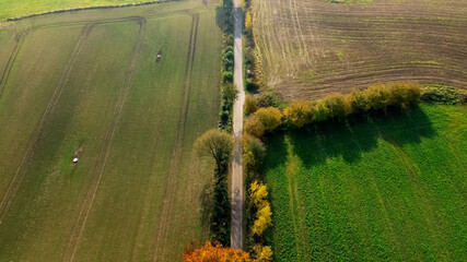 Drone view of a small country road in Northern Europe in the fall surrounded by agricultural fields.