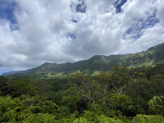 Naklejka premium Oahu Mountain Ridge 1