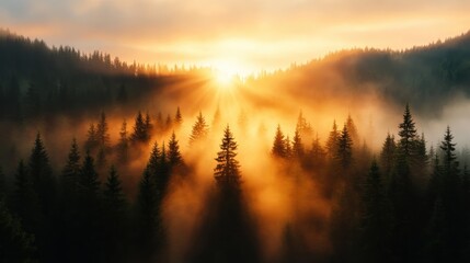 Sunrise pierces fog over a dense pine forest, creating a breathtaking landscape with golden light streaming down, evoking awe and tranquility in the viewer's soul.