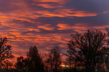 Naklejka premium A striking sunset sky glows in deep orange and red hues, with tree silhouettes in the foreground. The vivid colors create a dramatic and peaceful scene. Copy space available.