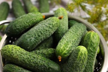 Fresh green cucumbers in colander on table, closeup