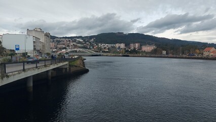 Naklejka premium coastline, nature, tree, sky, clouds, tourism, landscape, travel, destination, peace, portugal, madeira, island, garden, tree, park, outdoor, cityescape