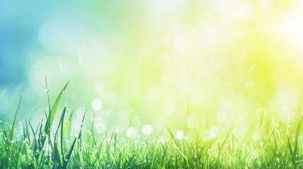 Obraz premium Morning dew on grass blades, capturing the freshness of a new day in spring