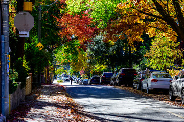 street in autumn with person riding scooter, parked cars and fall color shot in the beaches...