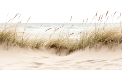 PNG PNG Sand dunes coastal border outdoors horizon nature.