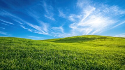 Obraz premium A rolling green hill with a bright blue sky and white clouds in the background.