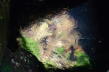 Aux sources de la Vis, Gard