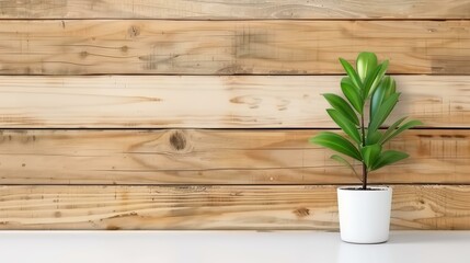 Bright white billboard and poster frame perfect for displaying ads in a cozy cafe setting. A minimalists dream