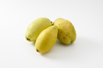 カリンの果実　イメージ