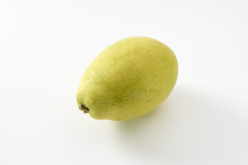 カリンの果実　イメージ