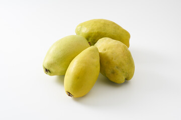 カリンの果実　イメージ