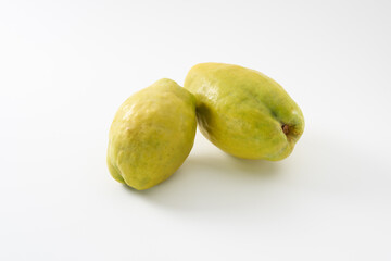 カリンの果実　イメージ