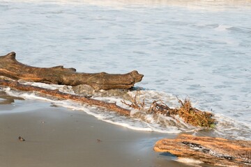 Driftwood on the Beach with Ocean Waves: Nature's Coastal Art
