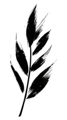 Obraz premium PNG Leaf drawing black art.