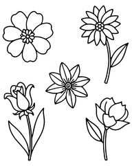 illustration of a flower