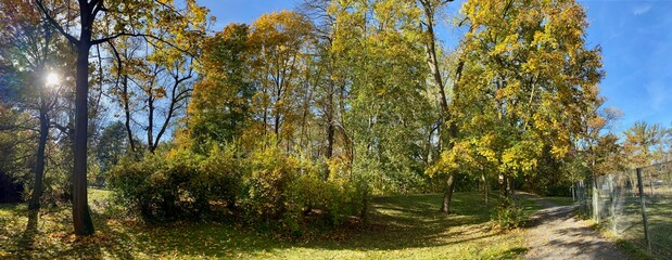 Fototapeta premium Der Stadtpark von Nordhausen mit der Zorge und dem Gondelteich an einem sonnigen Tag im Herbst