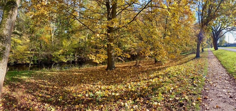 Der Stadtpark von Nordhausen mit der Zorge und dem Gondelteich an einem sonnigen Tag im Herbst