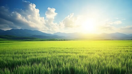 Obraz premium Expansive Green Grass Field Under Majestic Blue Sky and Sunlit Clouds : Generative AI
