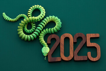Chinese New Year. A vibrant green snake intertwined with the wooden numerals 2025
