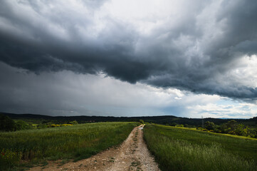 Fototapeta premium Sous le ciel d'orage