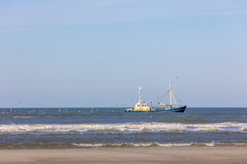 Fishery concept, Fishing boat sailing in the sea with net or trawl on the side to catch the fish, Flying seagulls birds behind eating fishes from fisherman, Dutch north sea, Noord Holland, Netherlands