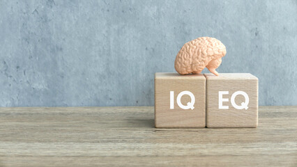 Balancing Intelligence: The Interplay of IQ and EQ Represented by the Human Brain on a Wooden Cube