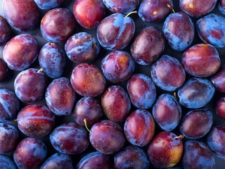 Pile of fresh plums on farmers supermarket 
