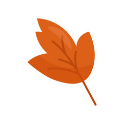 Orange leaf on a white background