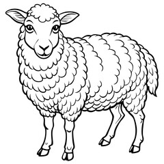 Sheep