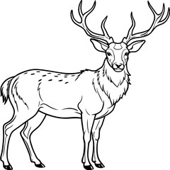 Stag Buck