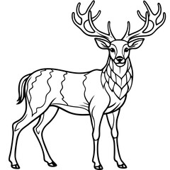 Obraz premium Stag Buck