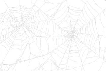 PNG Spider webs on a black background pattern nature design.