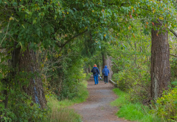 Obraz premium Nature Trail