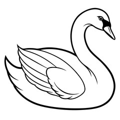 Obraz premium Swan