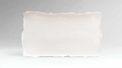 Obraz premium Torn white paper sheet with light gray background