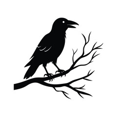 Obraz premium Halloween Raven on Branch vector silhouette with white background