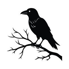 Halloween Raven on Branch vector silhouette with white background