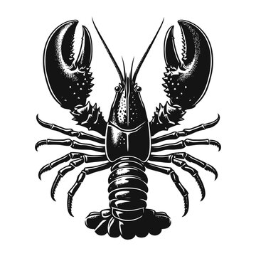 recommend clip art: Lobster black logo silhouette vector