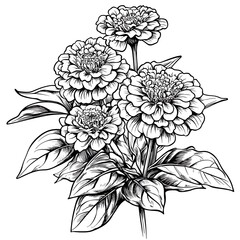 Detailed Black and White Flower Line Drawing