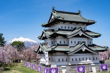 弘前城の桜と天守，青森