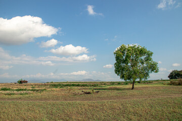 Fluffy white clouds floated freely in the infinite blue sky, creating unique and interesting...