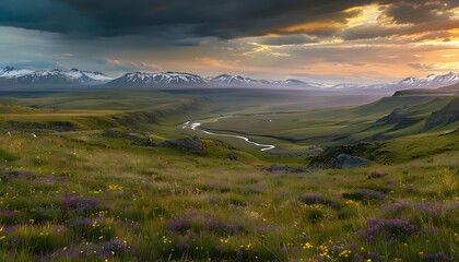 Highland Plateau with Rolling Grasslands and Wildflowers