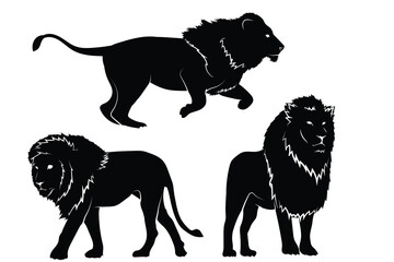 Vector set of lions silhouette isolated on white background. Lions silhouette collection