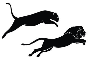 Vector set of lions silhouette isolated on white background. Lions silhouette collection