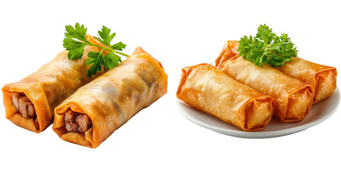 Delicious tofu skin rolls with pork and veggies, collection, clipart, isolated on transparent background.