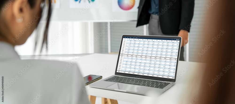 Poster accounting software on computer screen showing financial statement spreadsheets and account balance 