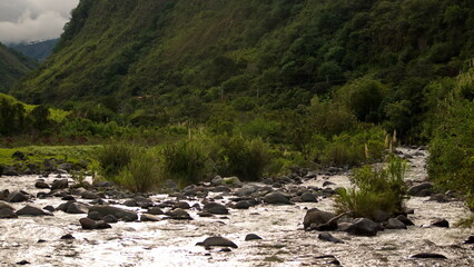 River running through the cloud forest in the Intag Valley outside of Apuela, Ecuador