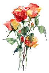 Naklejka premium vibrant watercolor painting of red and yellow roses with lush green leaves, capturing beauty and elegance of nature. delicate brushstrokes convey sense of freshness and romance