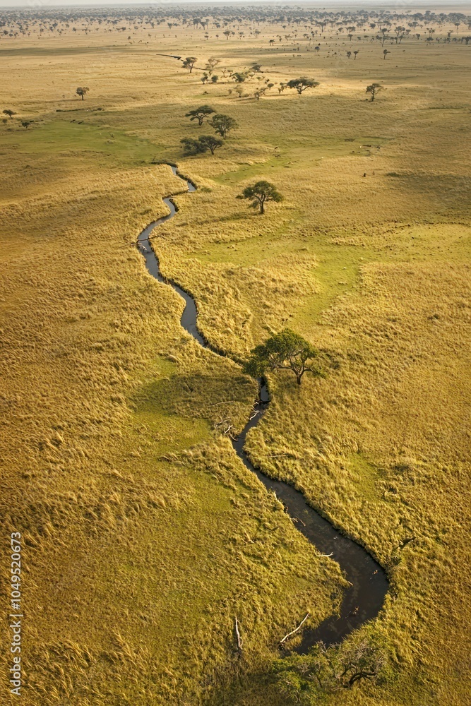 Poster wildlife conservationists use digital compasses to follow migration patterns in large reserves.